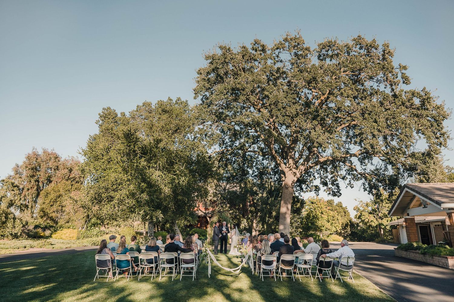 Rows of white chairs set up under large oak trees for an outdoor wedding ceremony.
