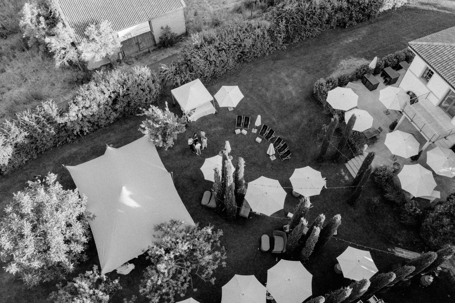 Hochzeitsfotograf Frankfurt, weingut Mussler, Luxus Hochzeit, Toskana Hochzeit , Hochzeitslocation Pfalz, Weingut