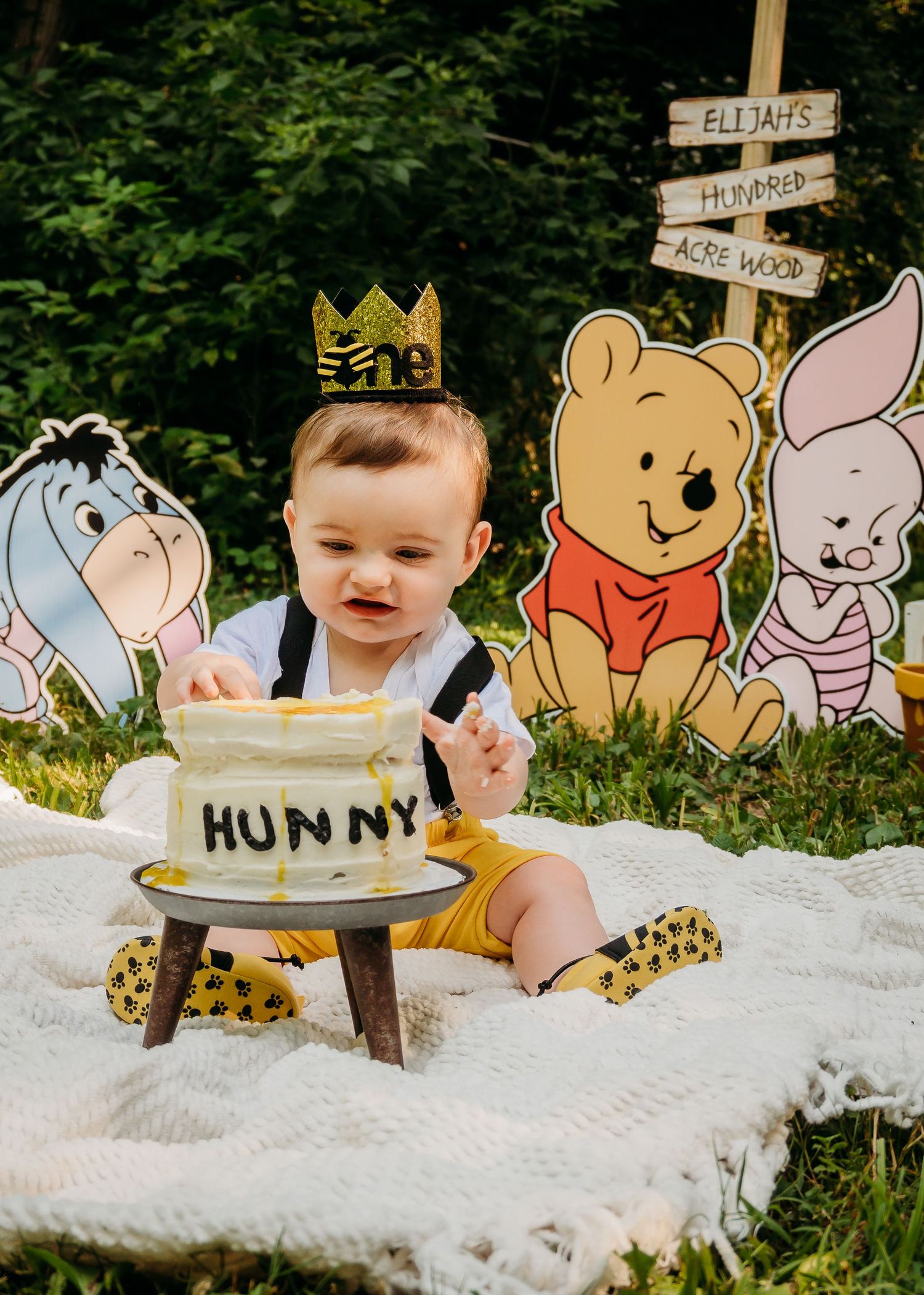 Cake Smash Photographer, Greenwood Indiana