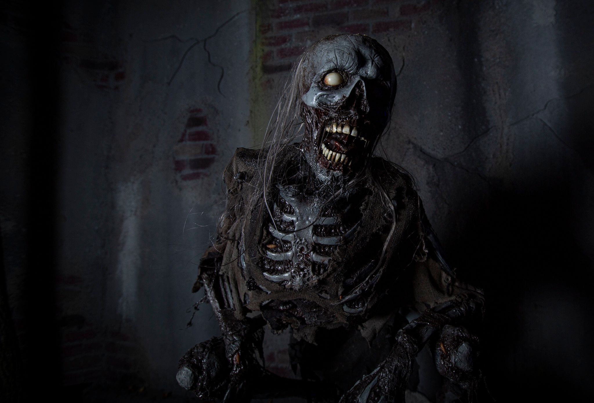 Skeleton Zombie Haunt Photography ©Chad Foster Photography