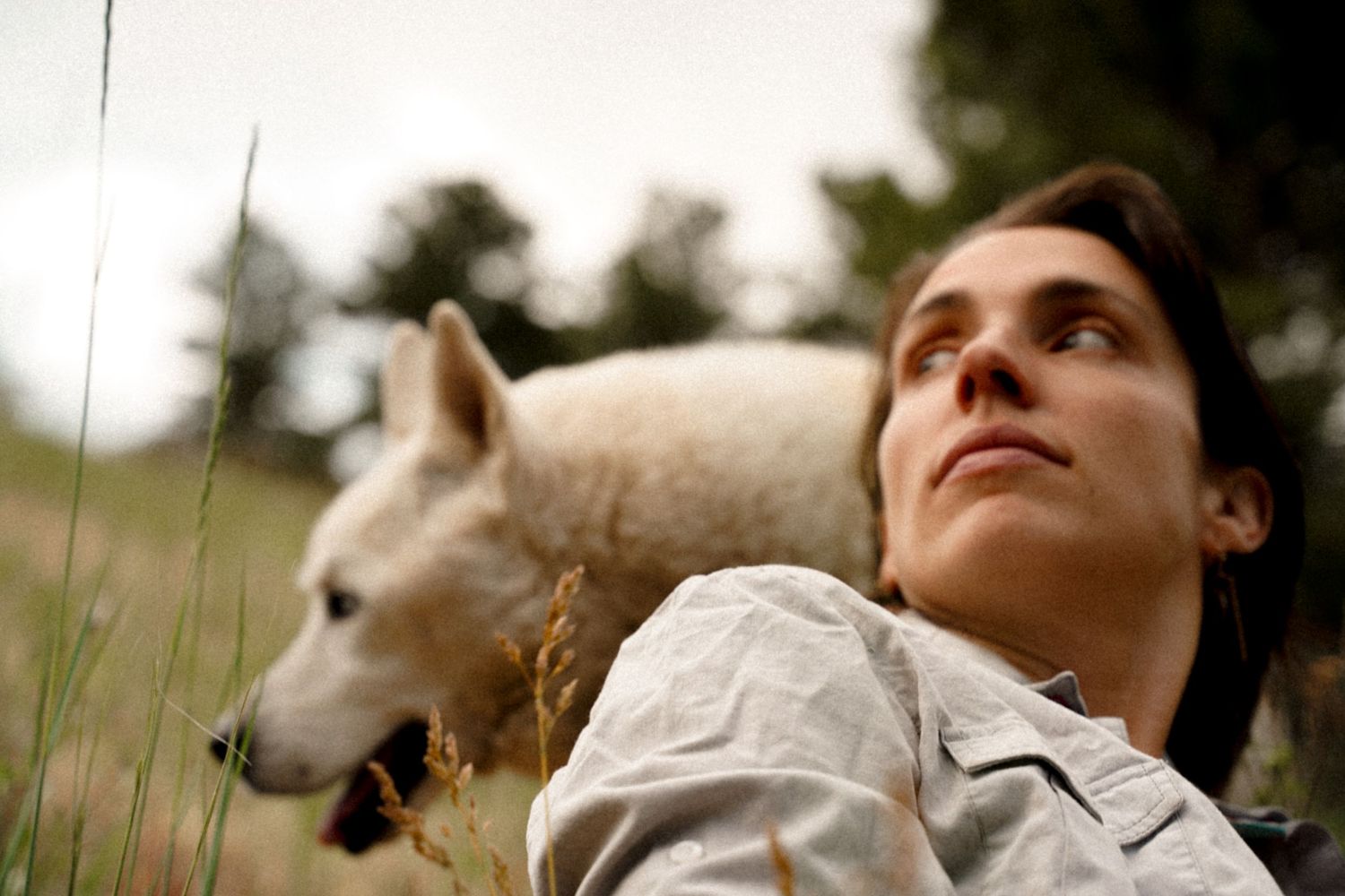Person relaxing in grass field with white dog companion looking upward at sky.