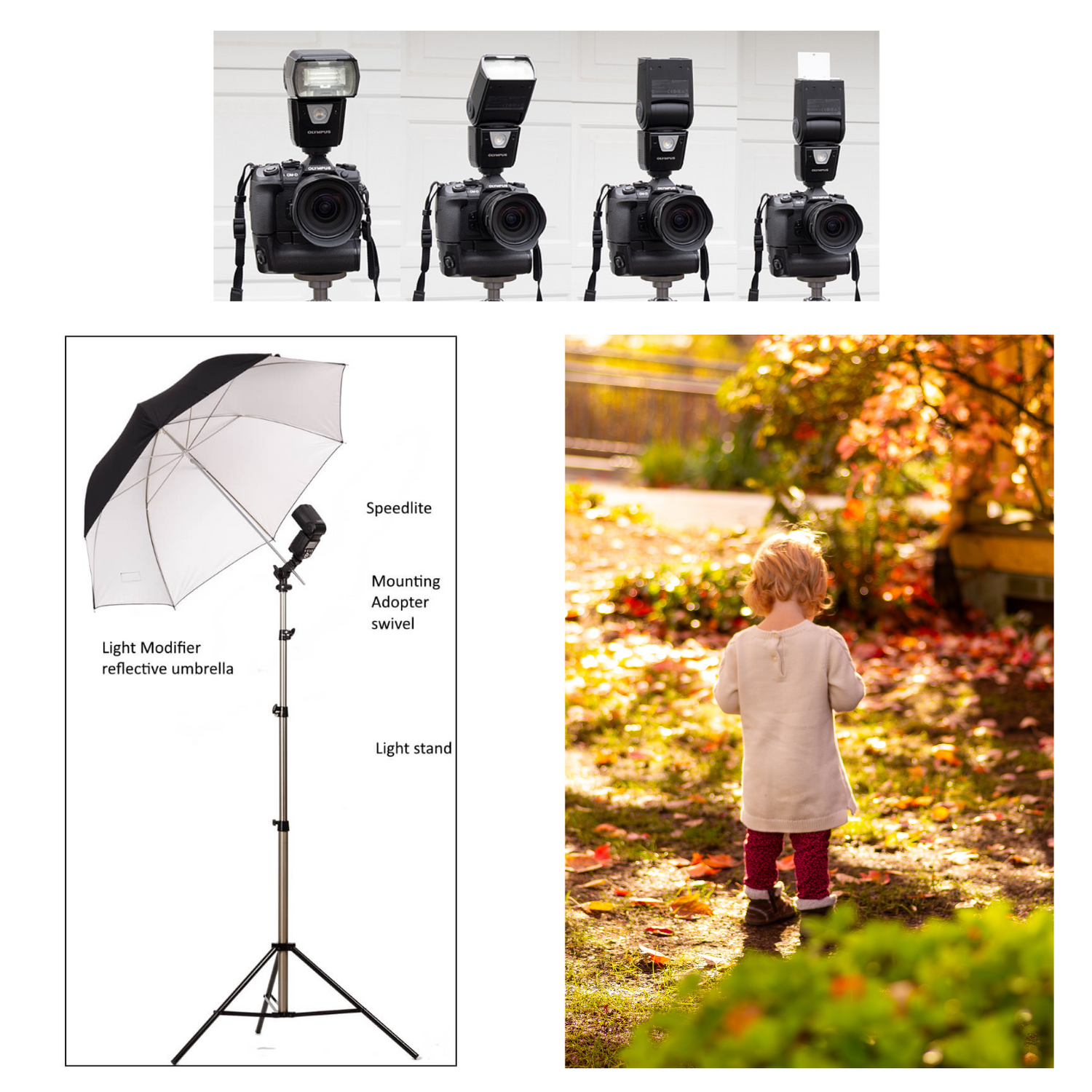 Photography equipment diagram showing flash setup with umbrella diffuser and example autumn photo.