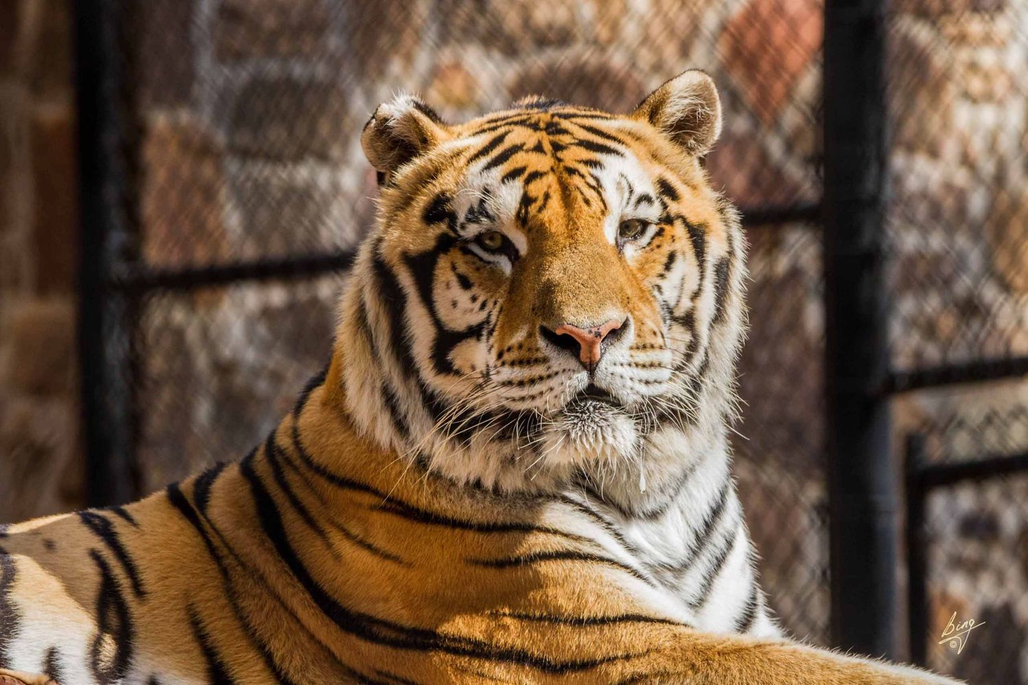 Tiger Creek Wildlife Refuge