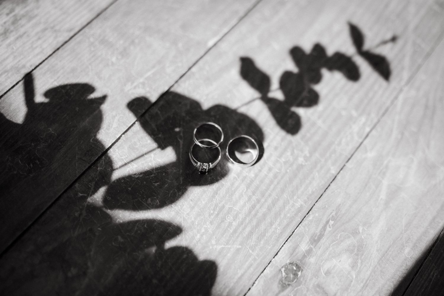 Creative shadow silhouettes cast on wooden floorboards.