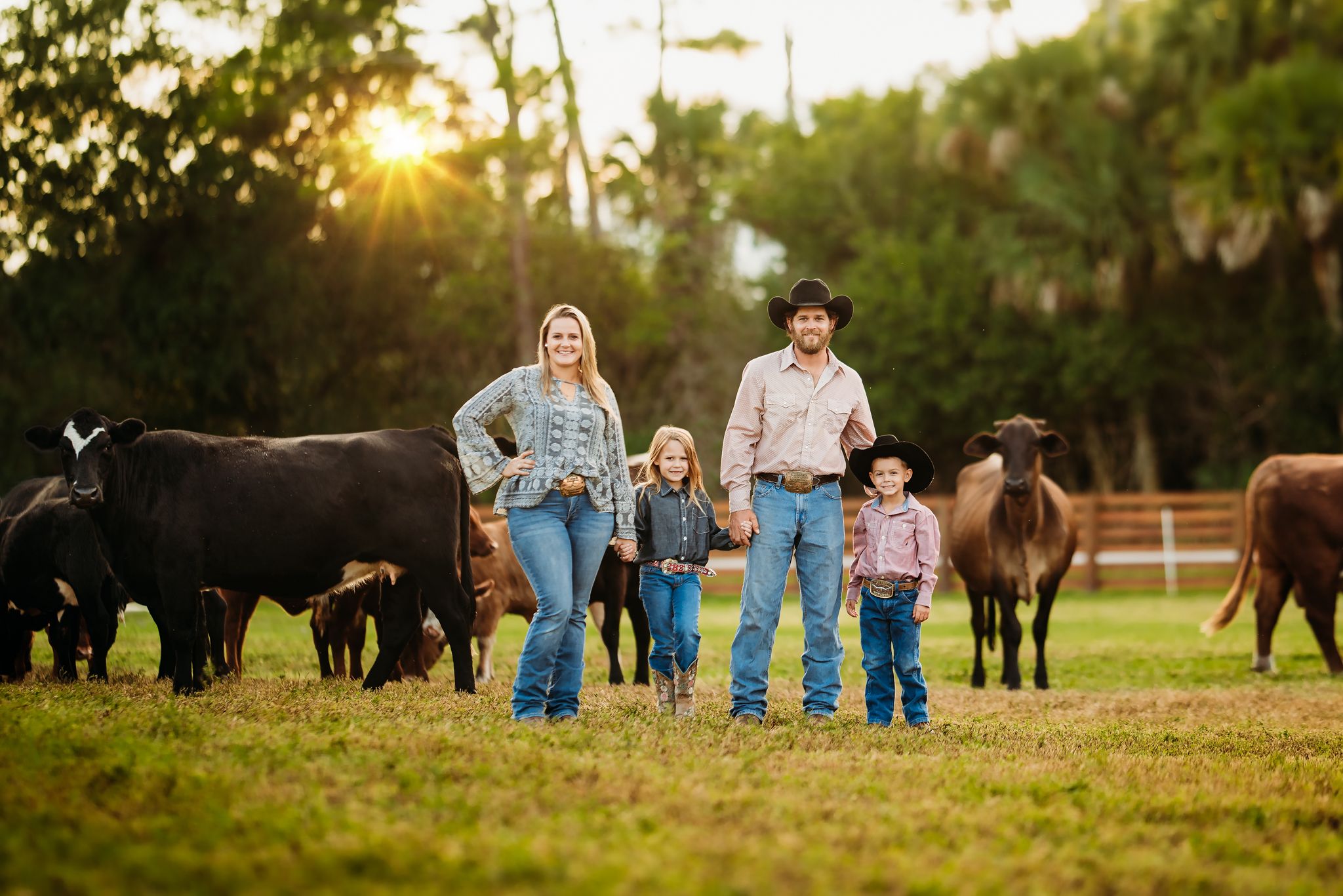 western family posing in a field during golden hour with cattle