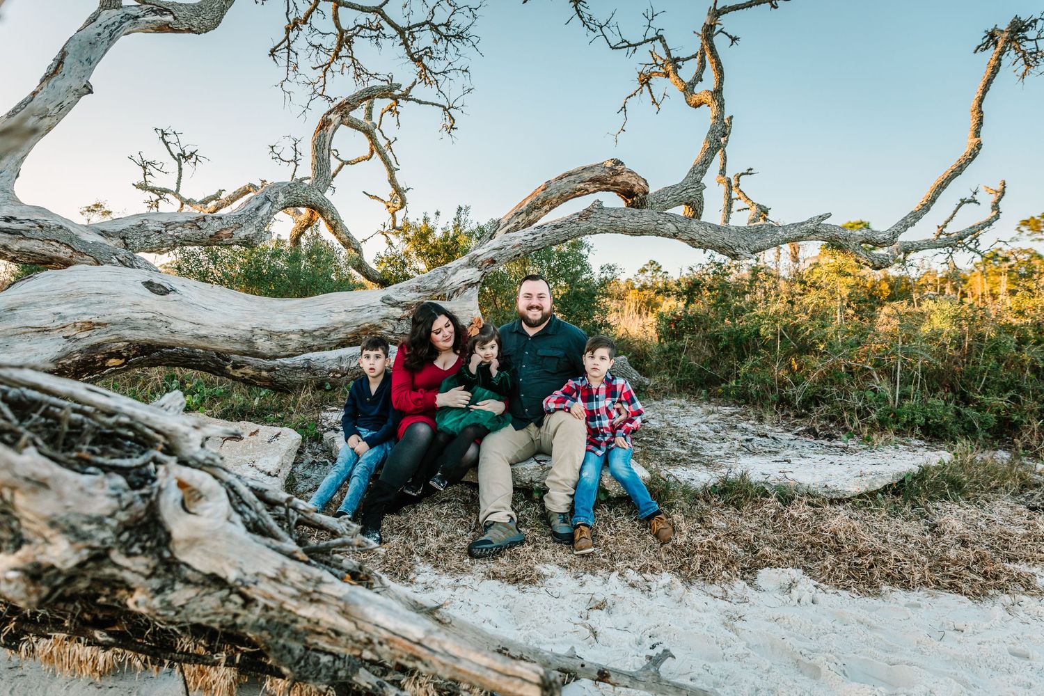 Family members pose together on a beach with weathered driftwood and trees creating a natural backdrop.
