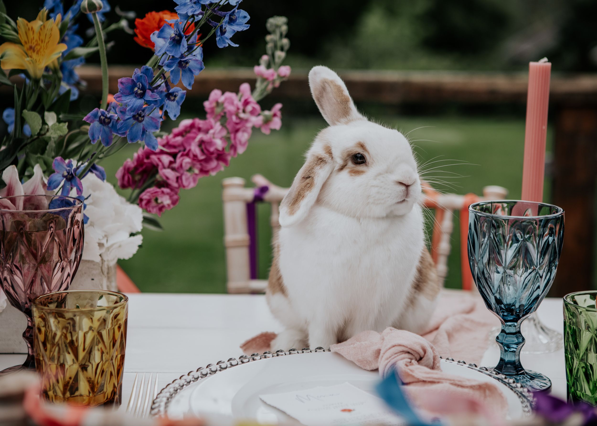 All Things Bright \u0026 Beautiful - Rabbit House Studio Photography, image size:2500x1786