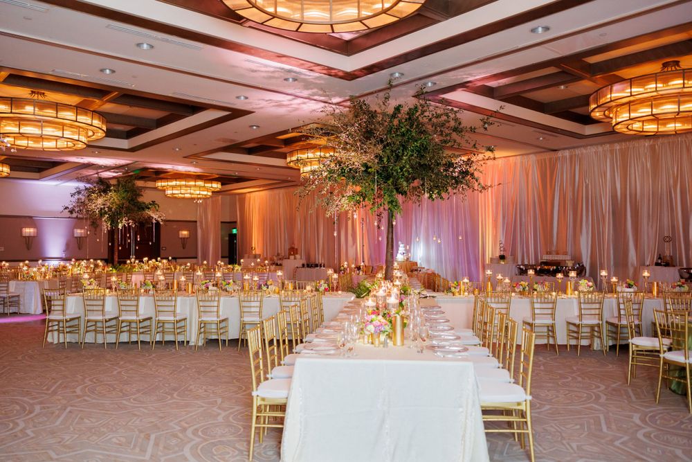 Spacious ballroom set for wedding reception with gold chairs and tall greenery centerpieces.