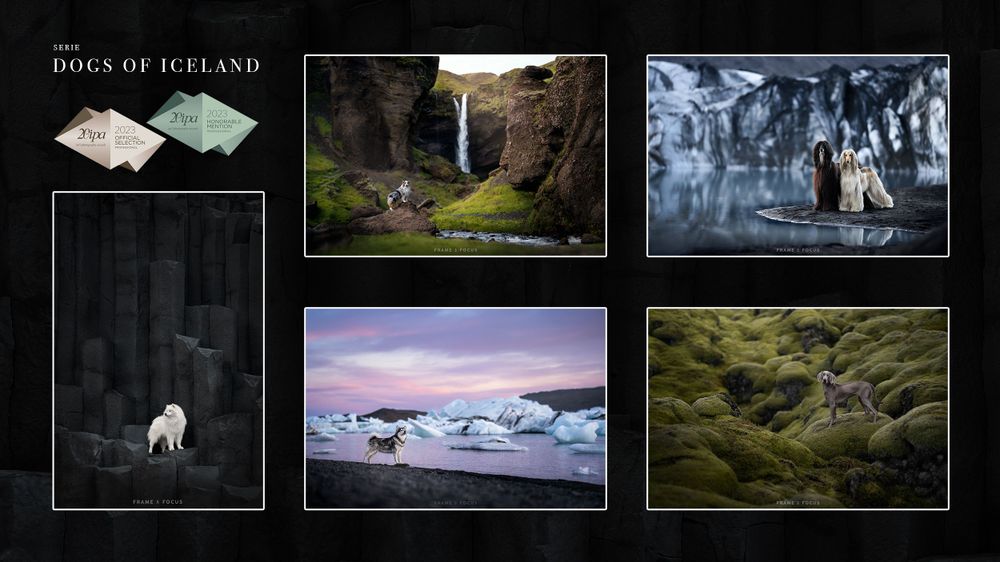 International Photography Awards official selection en honorable mentions
