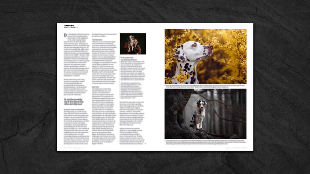 Digifoto pro magazine artikel Frame & Focus