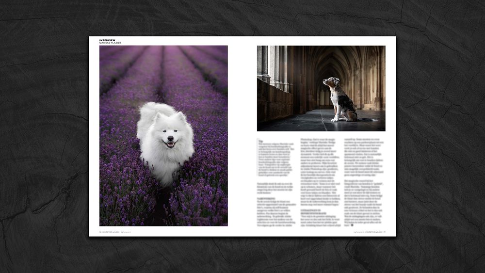 Digifoto pro magazine artikel Frame & Focus