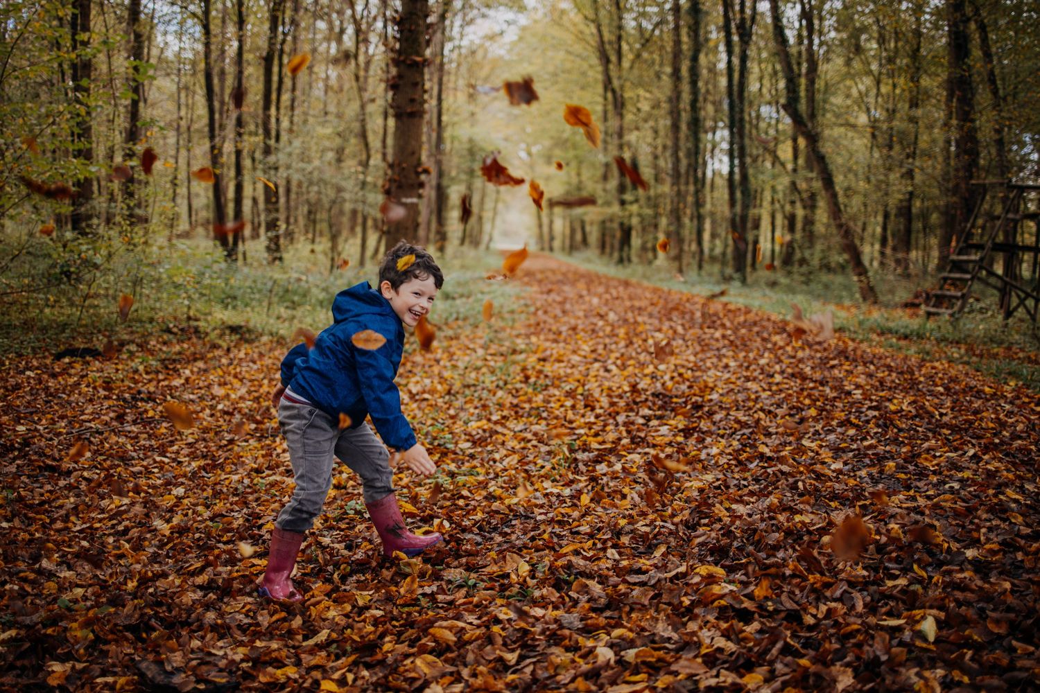 Un petit garçon lance des feuilles mortes en l'air à l'occasion d'un shooting photo dans les bois à l'automne