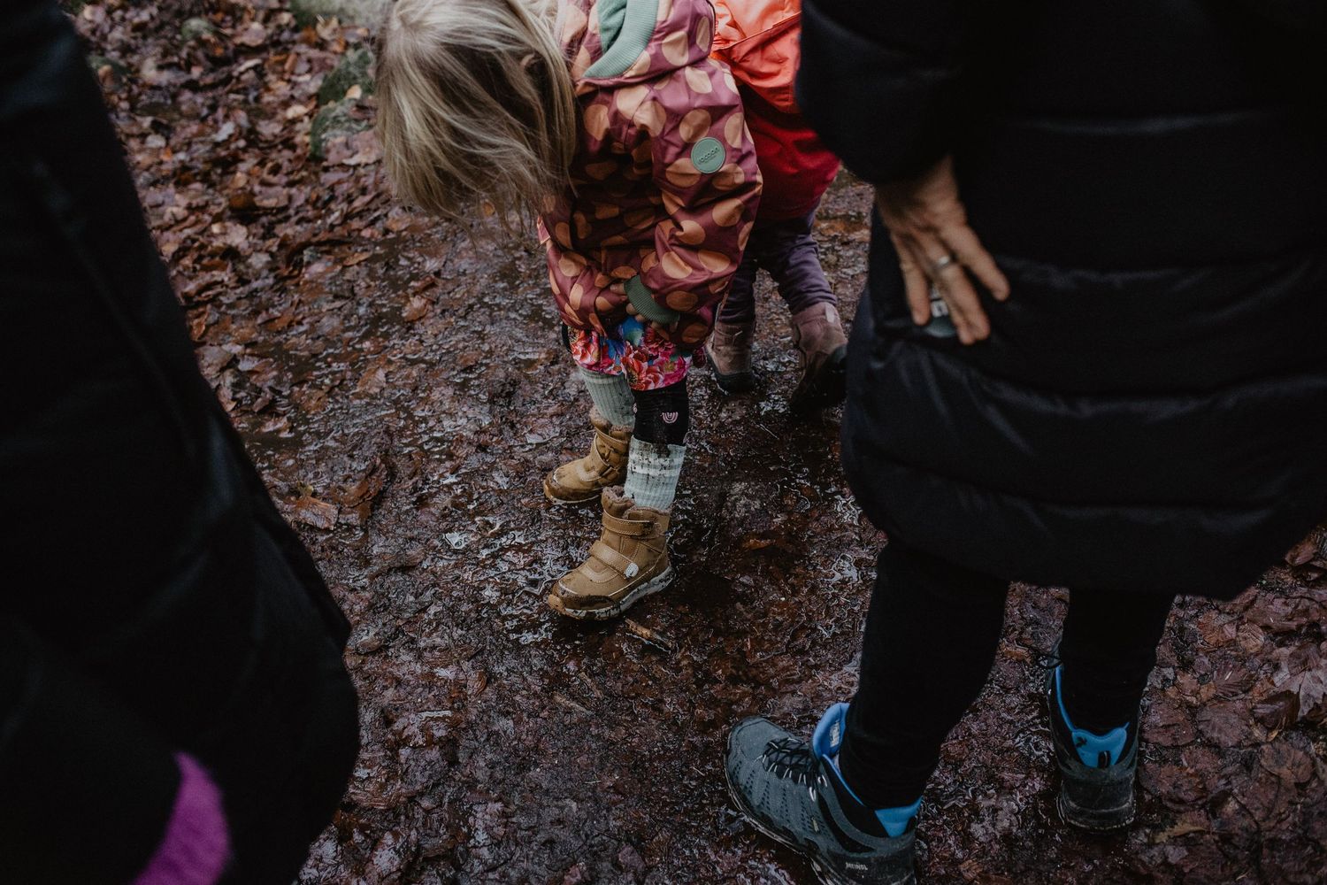 Small group exploring fallen leaves on a wet autumn trail.