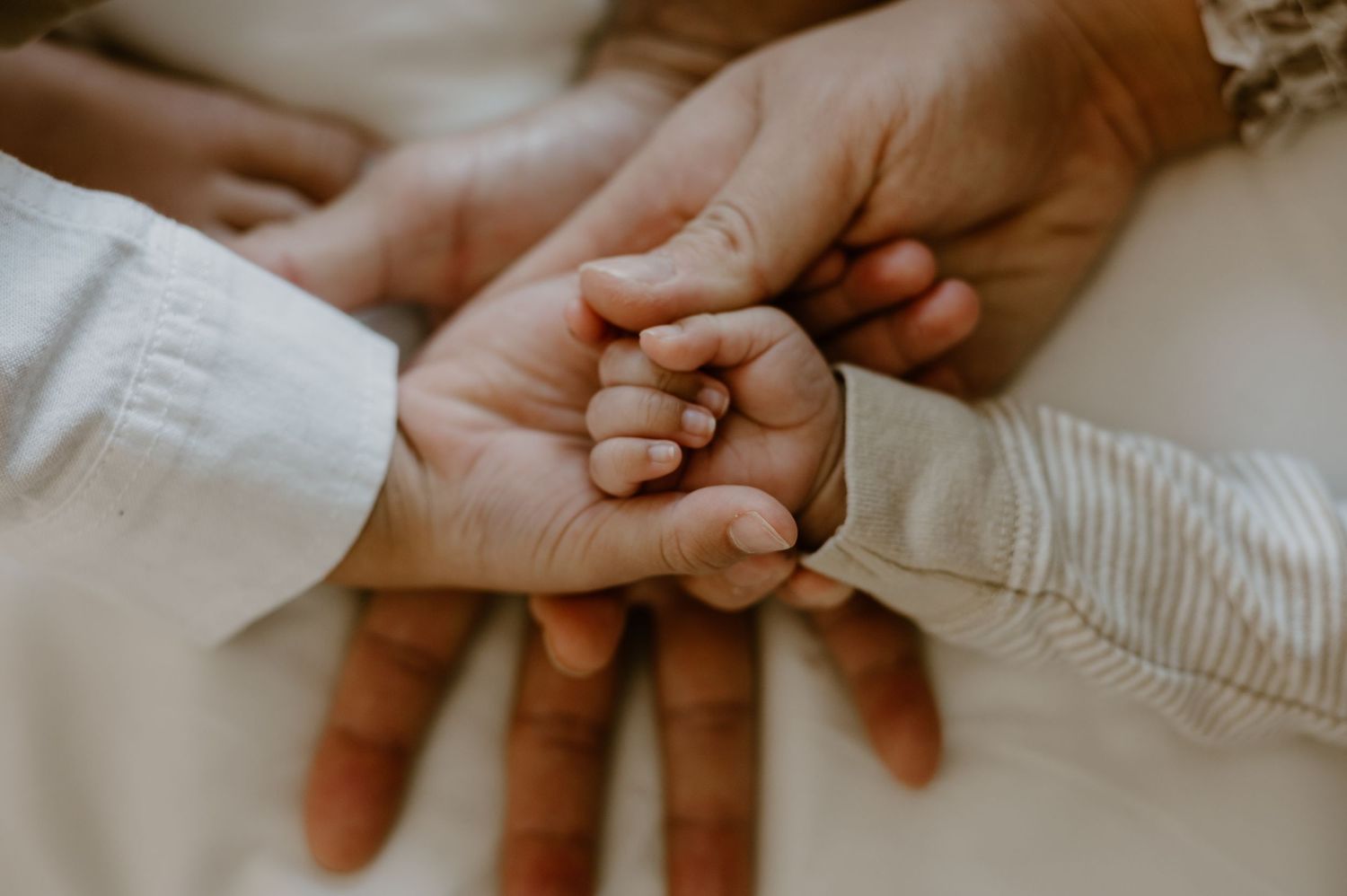 Family holding hands. Newborn photography bucks county. Family of four holding hands family photography. Baby hands