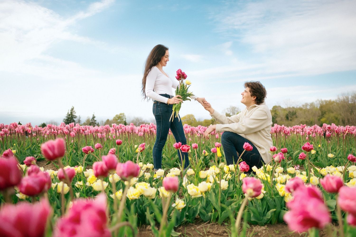 A heartwarming proposal scene in a colorful tulip field under blue skies.