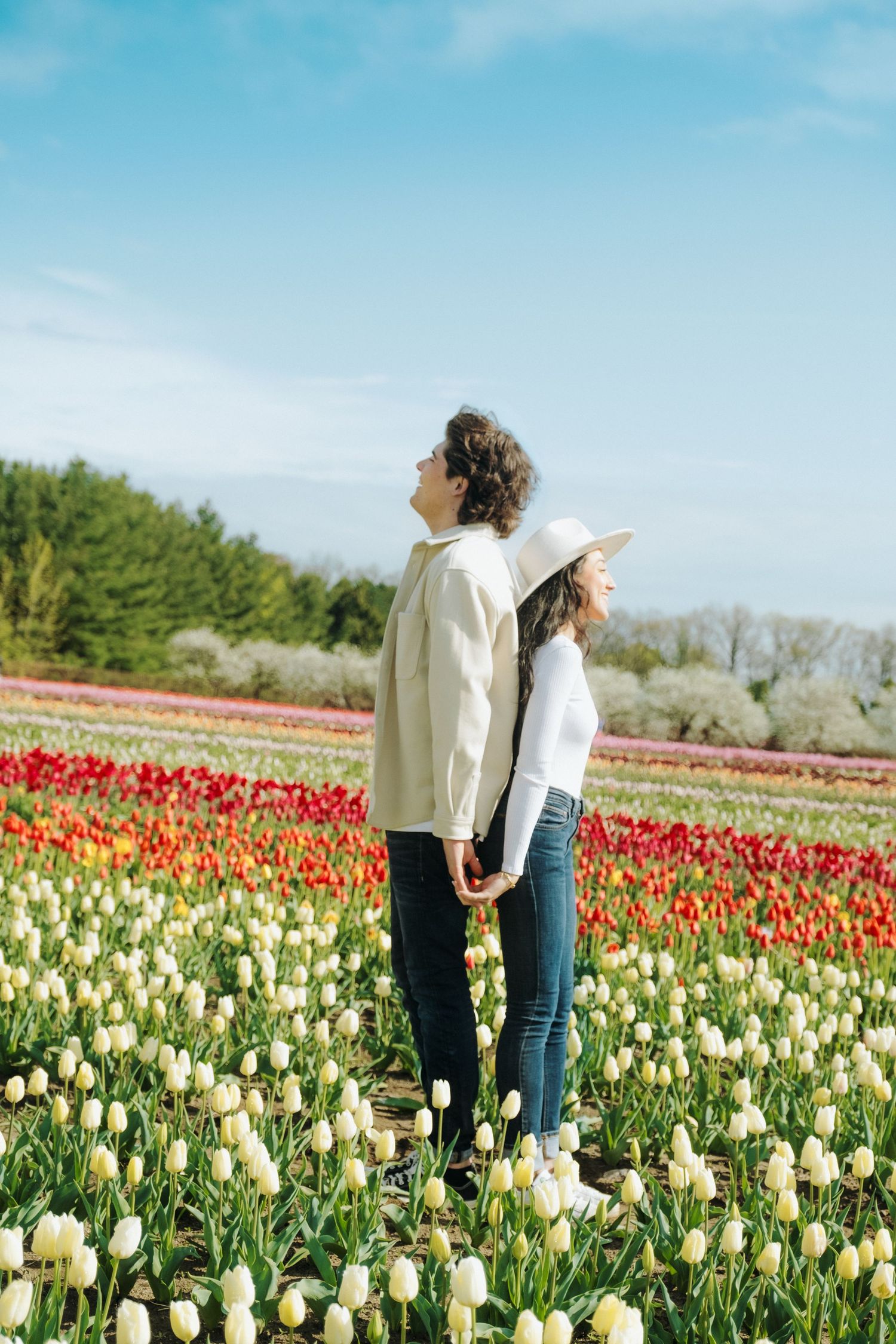A couple stands together admiring colorful tulip fields on a bright spring day with red and white blooms stretching into distance.