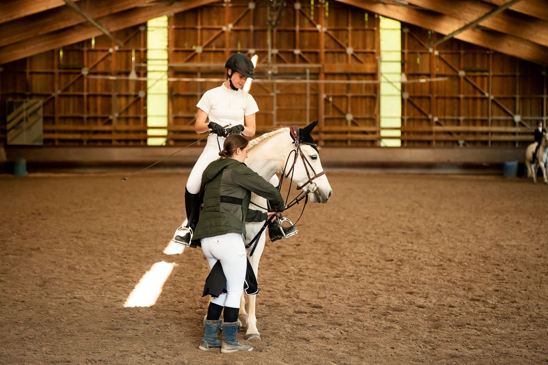 Concours dressage Alsace suivi photo