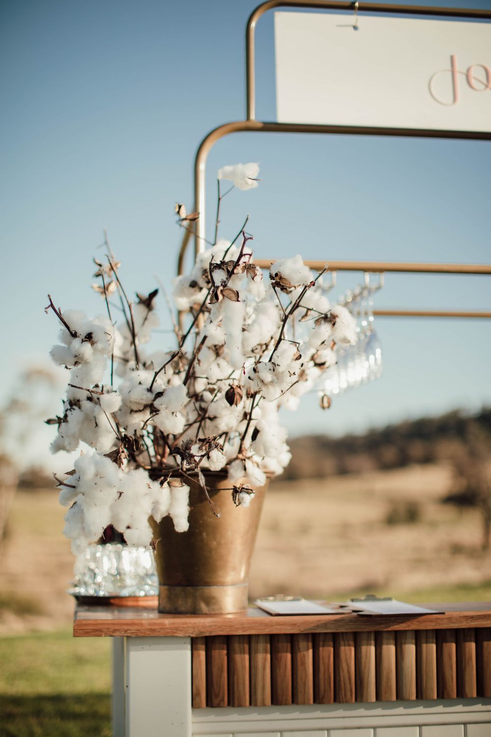 Cotton branches arranged in a brass vase against a blue sky background.