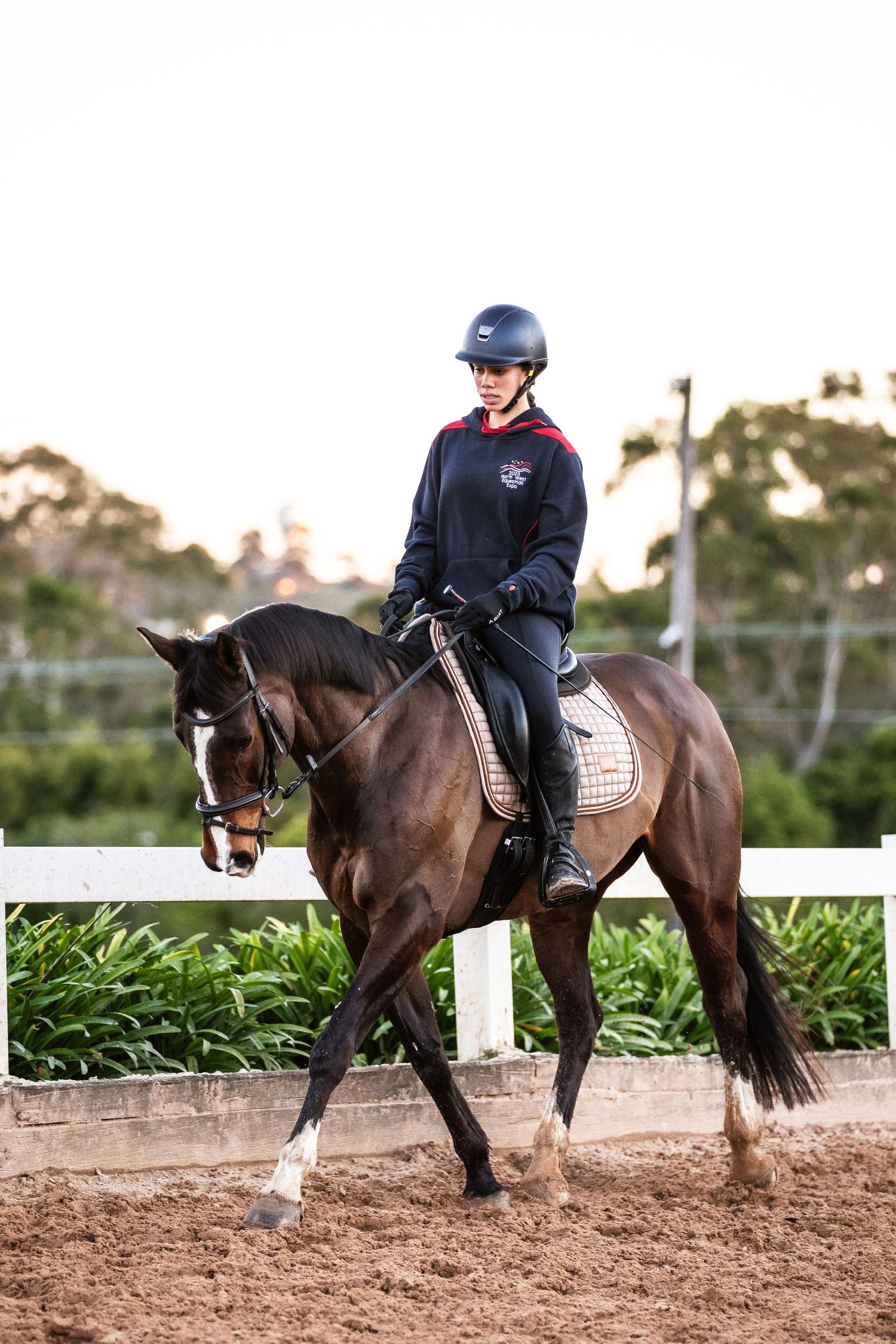 Equestrian photography.
