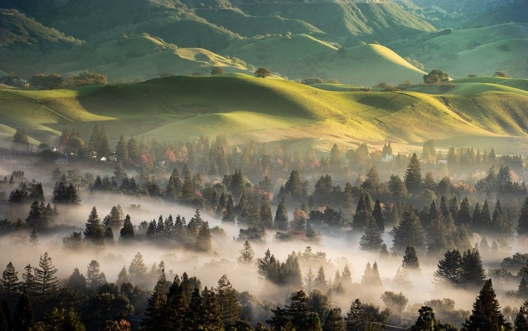 Morning fog drifts through evergreen forest beneath sunlit rolling hills with mountain peaks in the background.