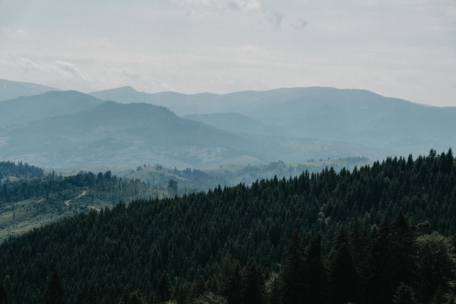 Panoramic view of misty mountain landscape with dense evergreen pine forest under hazy blue sky.