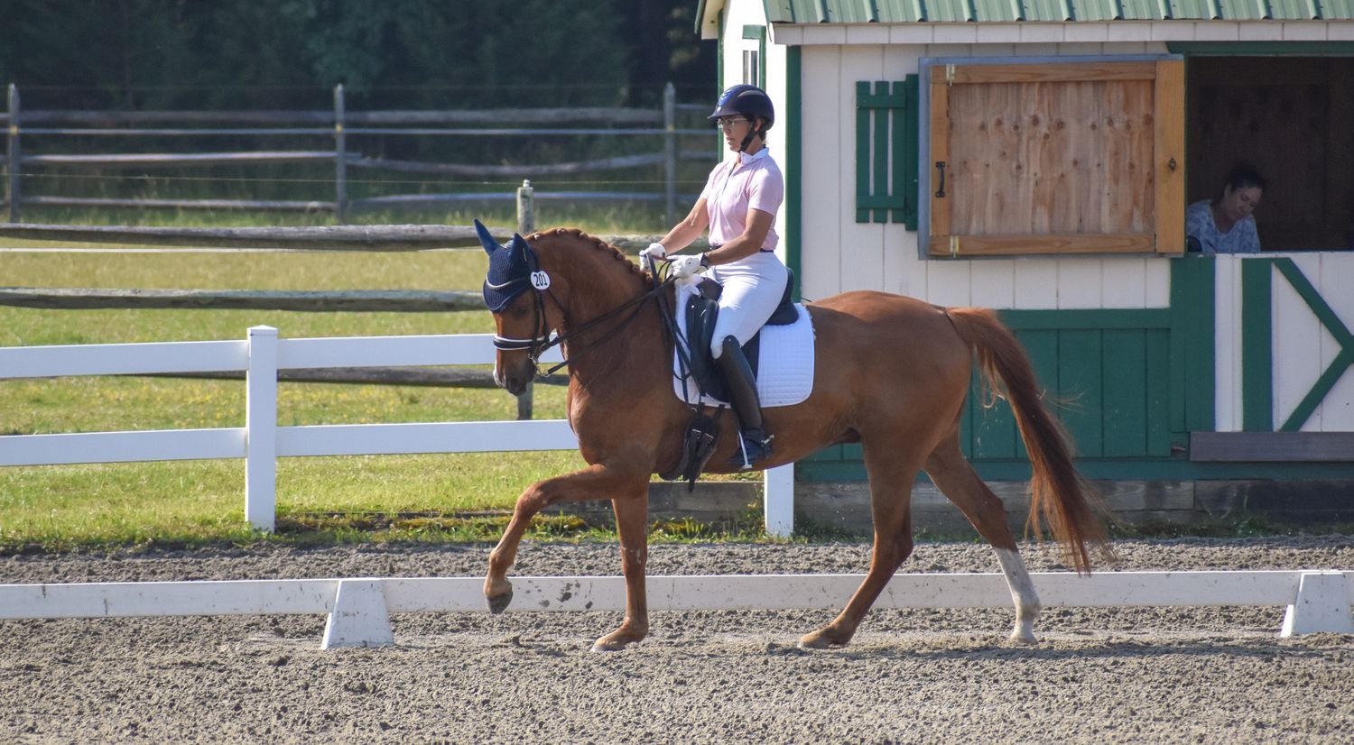 horse and rider in pink shirt cantering left