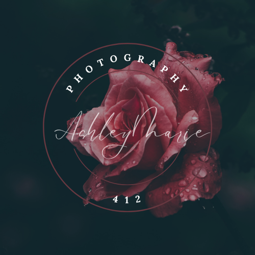 AshleyMariePhotography412