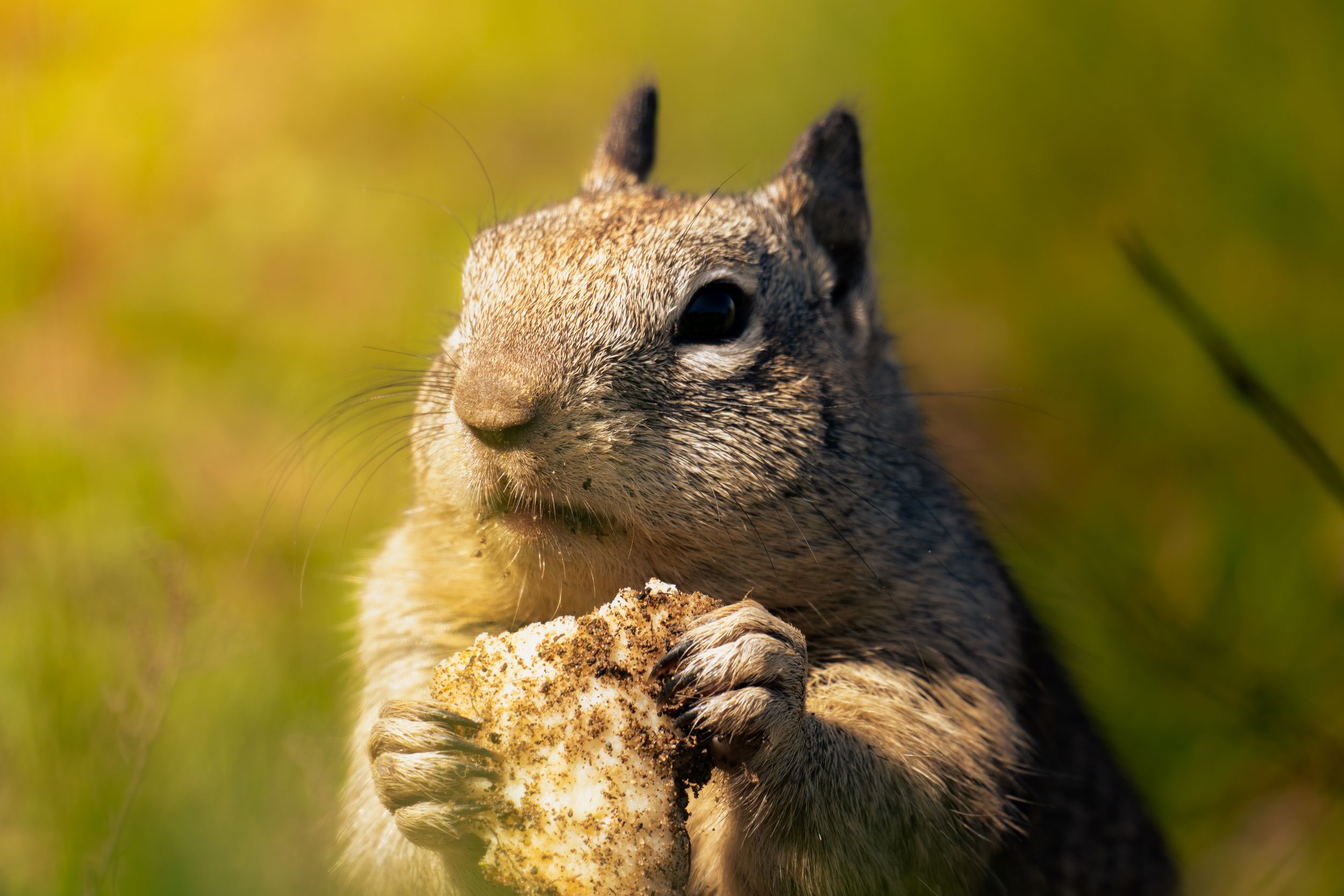 A stunning shot of a modern sports car.