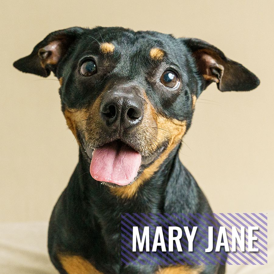 Mary Jane