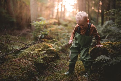 Foraging Equipment Essentials - The Grizzly Forager: The Definitive ...