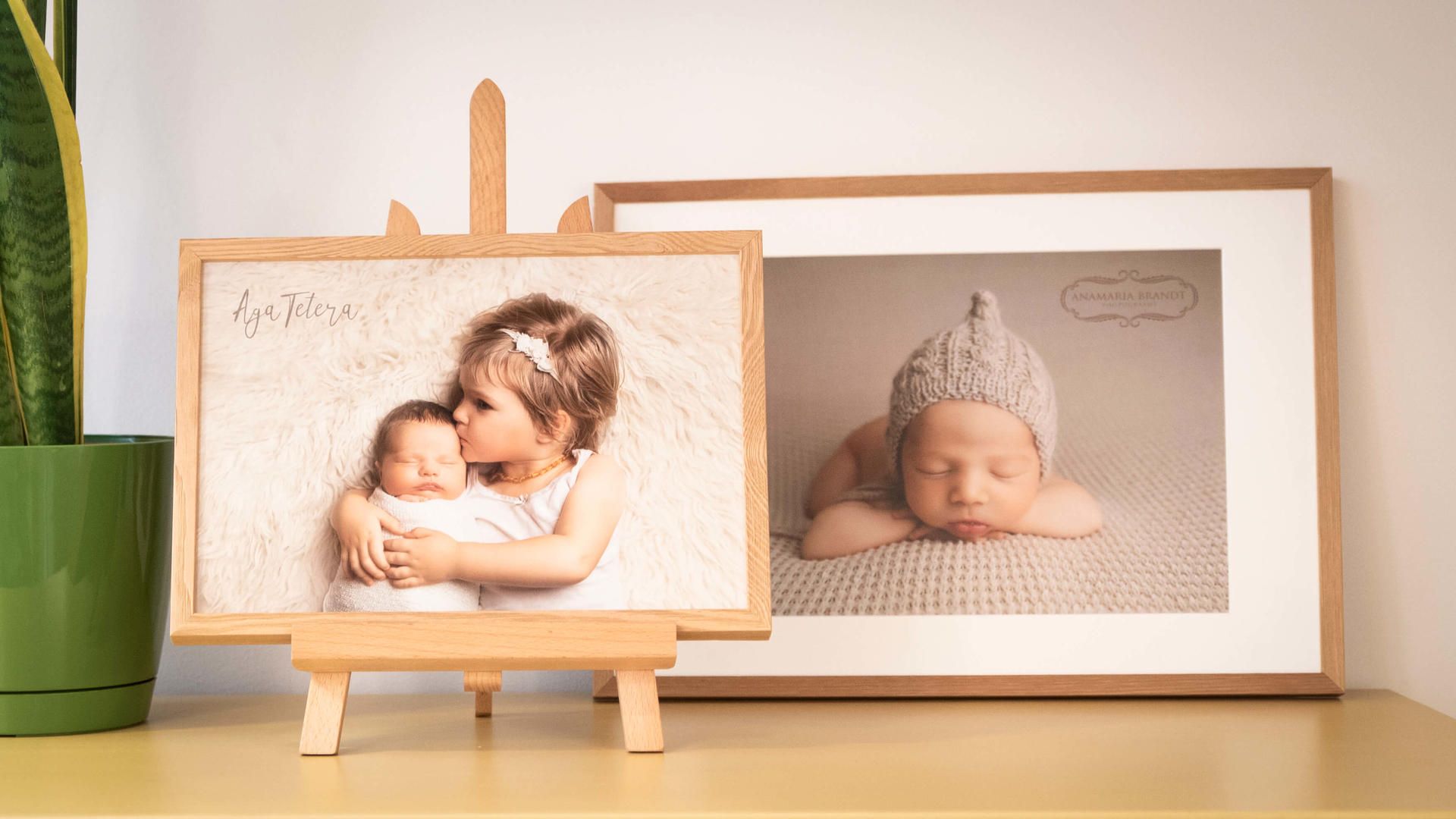 Photography display featuring framed prints on wooden easel with houseplant.