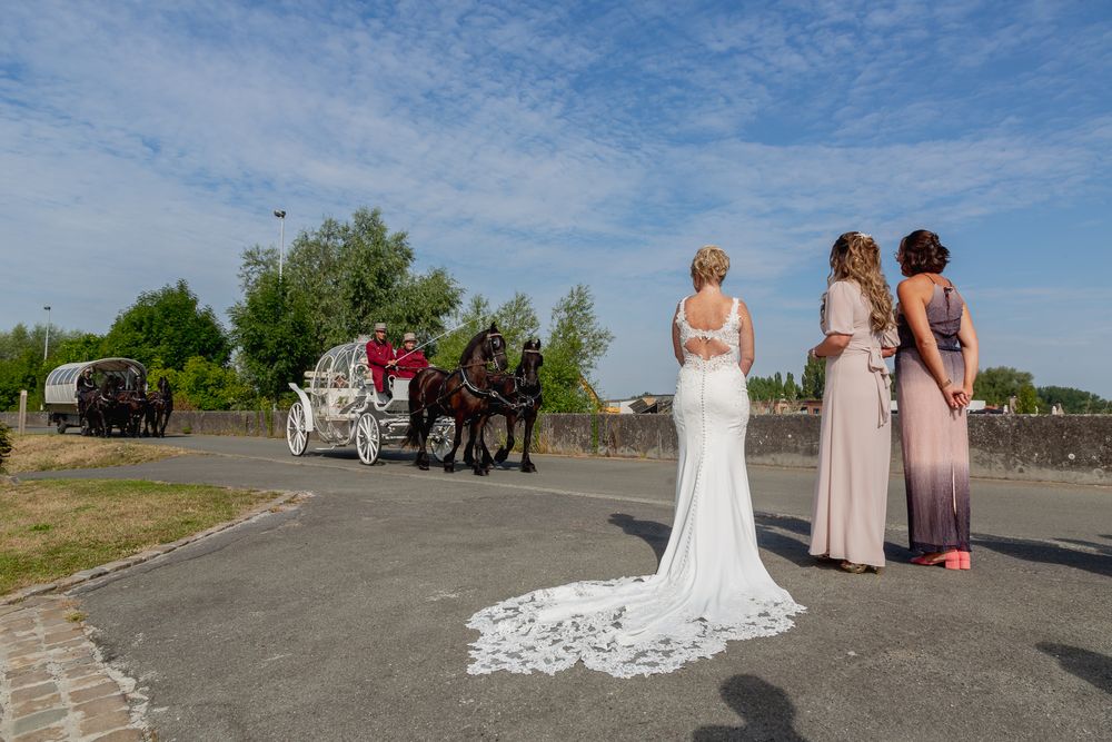 A wedding party stands on a path with a horse-drawn carriage visible in the background.