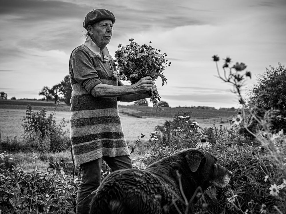 alte Frau pflückt Blumen auf der Wiese im Vordergrund ist ihr Hund SW Foto