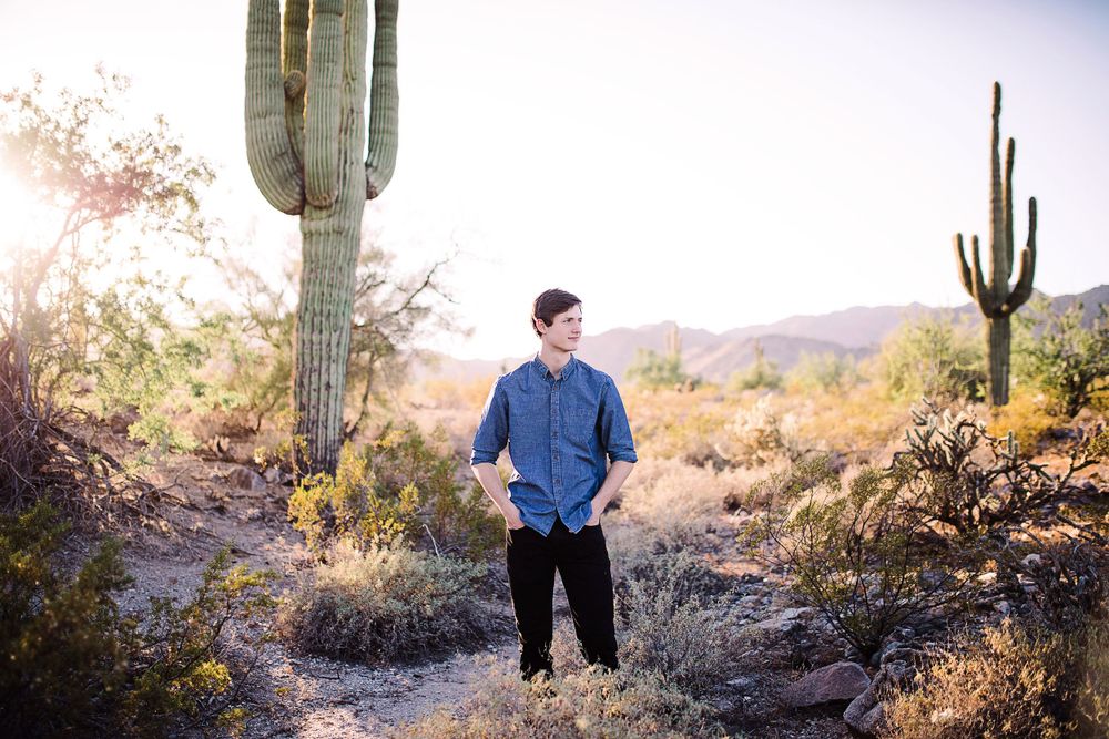 Young man in blue shirt standing among saguaro cacti in golden desert light.
