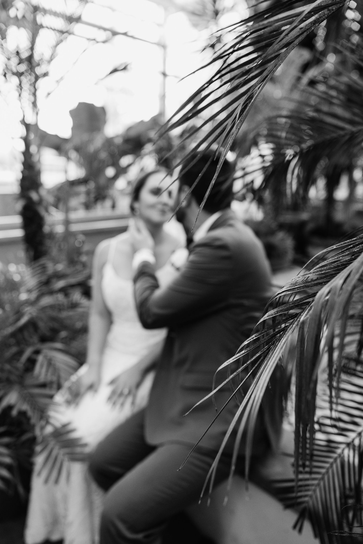 Black and white photo of bride and groom embracing among tropical palm leaves in a greenhouse. Roger Williams botanical Miranda Photo & Co