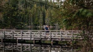 A person sits alone on a wooden footbridge in a dense forest setting.