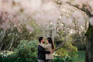 Two people share a romantic moment beneath blooming cherry blossom trees in a spring garden.
