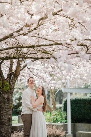 Couple embracing under blooming cherry blossom trees in a romantic spring garden setting.