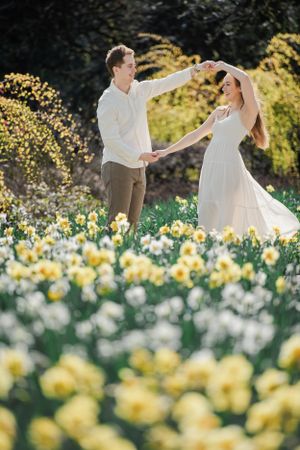 A couple dances together in a garden filled with blooming yellow and white daffodils on a sunny spring day.