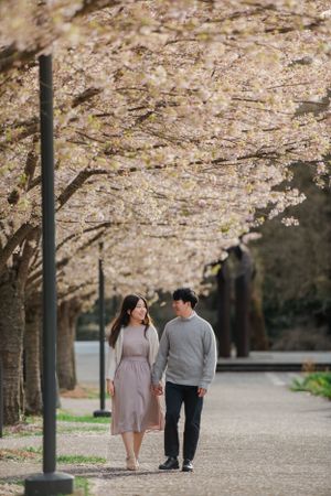 A couple walks hand in hand beneath blooming cherry blossom trees on a peaceful path.