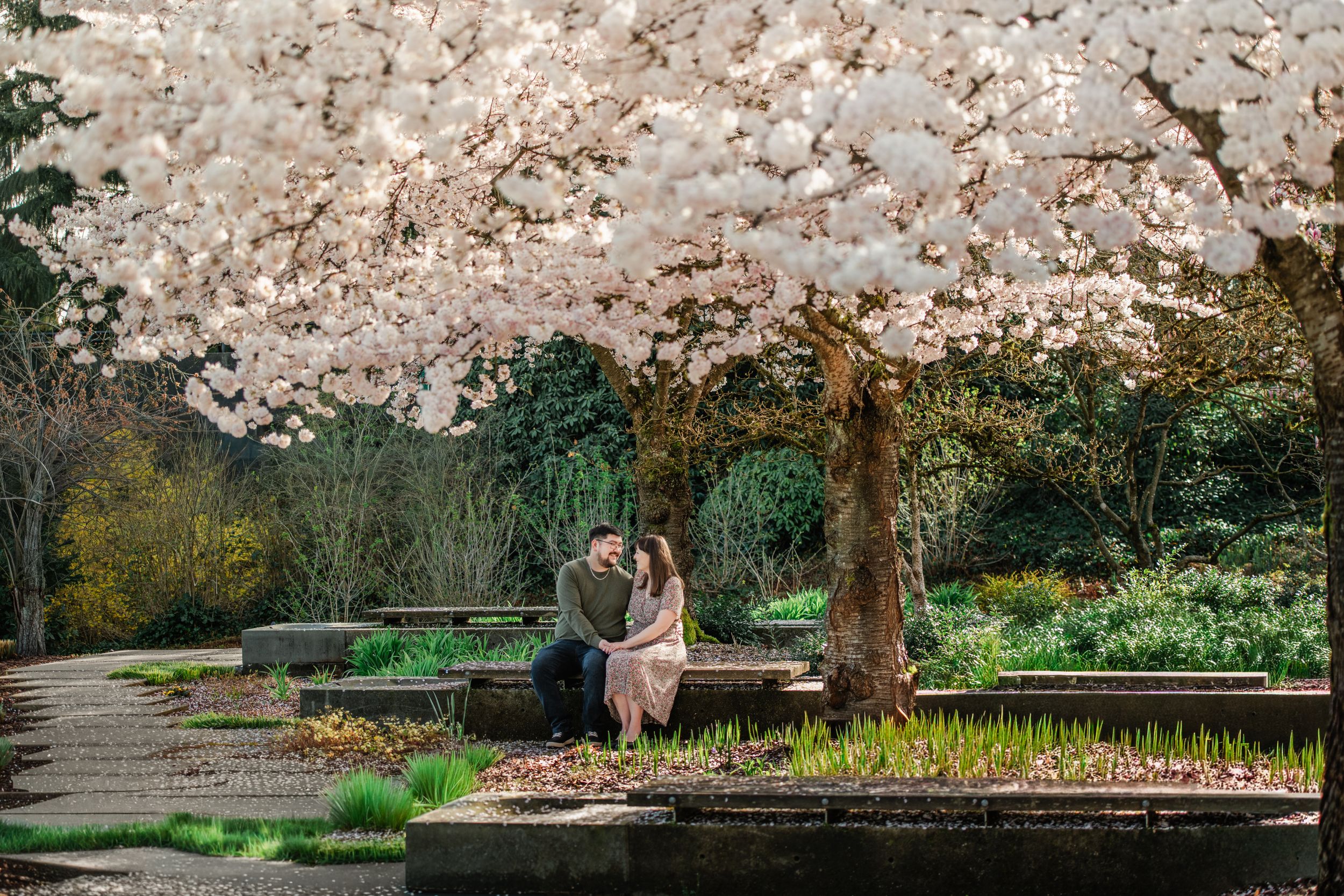 Couple sitting under blooming cherry blossom tree in a lush garden during spring engagement photo session.