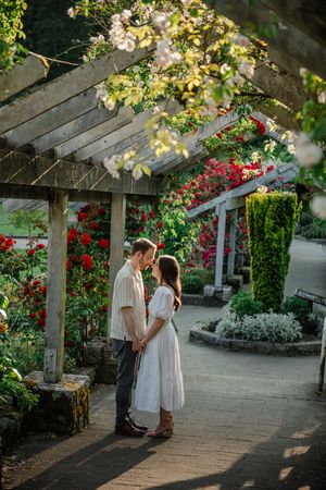A romantic garden scene under a wooden pergola covered in blooming red and white climbing roses and lush greenery.