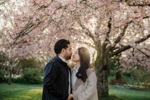 A romantic couple shares a tender moment beneath blooming cherry blossoms on a spring evening.
