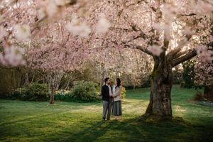 A couple stands beneath a blooming cherry blossom tree on a lush spring lawn in soft afternoon light.