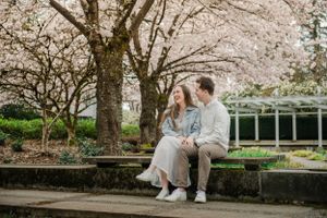 Couple sitting together on stone wall under blooming cherry blossom trees in spring garden.
