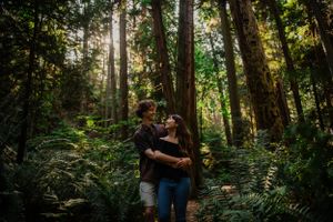A couple shares an intimate moment in a sunlit forest surrounded by lush ferns and tall trees.