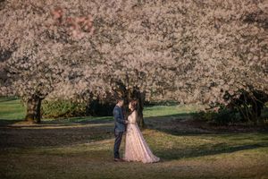 Two figures stand together beneath blooming cherry blossom trees in a scenic spring garden setting.