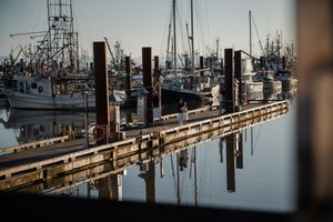 Fishing boats docked at a marina with wooden pier posts reflecting in calm water during golden hour.