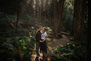Sunlit forest scene with tall trees and lush ferns creating a romantic woodland atmosphere.