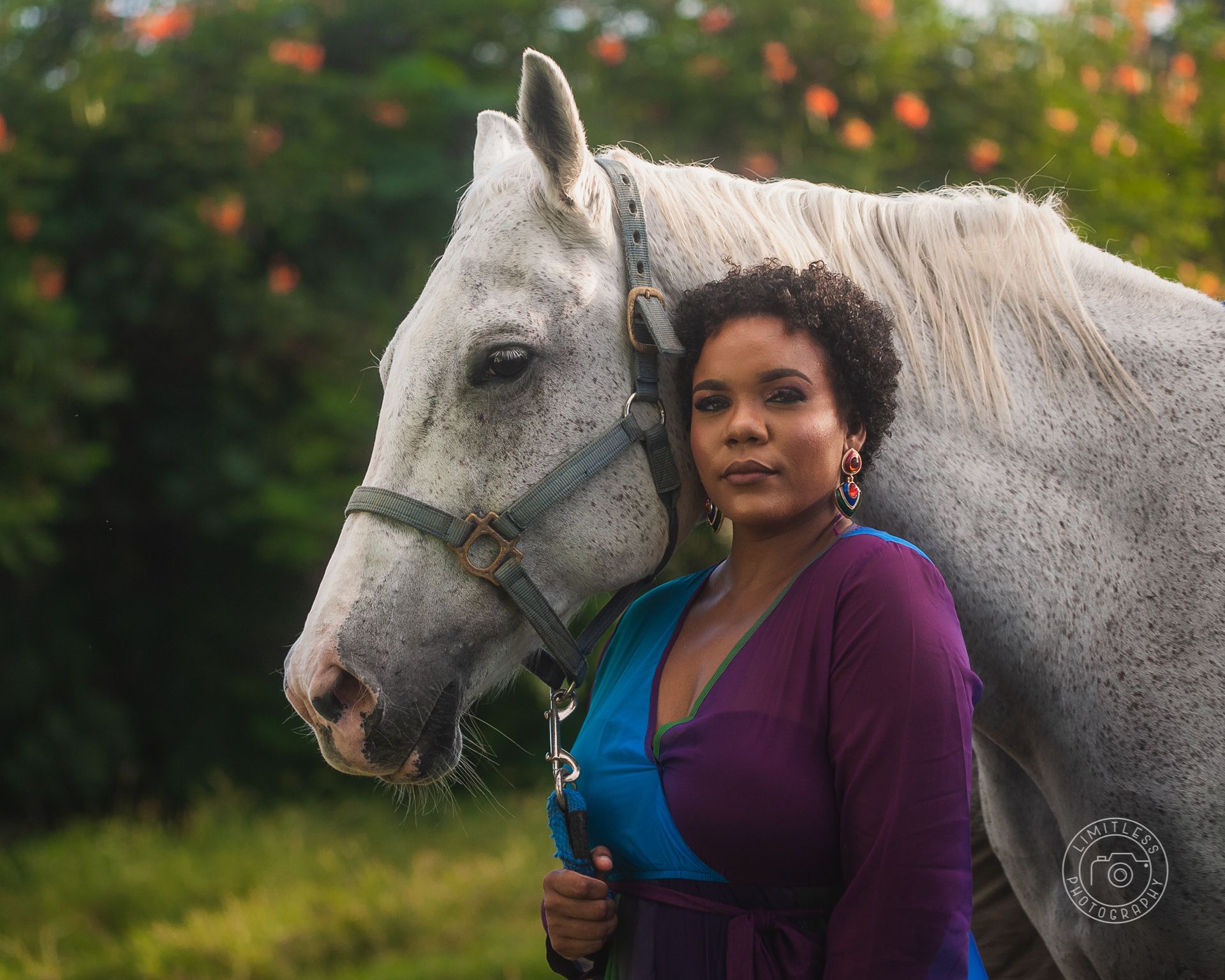 Beautiful dappled white horse stands beside a person in a purple cardigan against a soft green background with flowers.